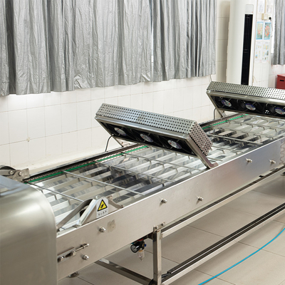 Máquina de moagem de biscoitos industrial A para apoio técnico de vídeo após o serviço