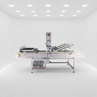 Venda Direta da Fábrica Transportador de Resfriamento e Classificação Automática para linha de produção de cones de açúcar