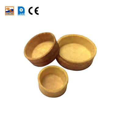 Linha de produção automática de conchas de tartarugas, incluindo suporte técnico de vídeo concebido para a produção e a uniformidade do produto