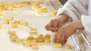 Galdéria automática Shell Production Line